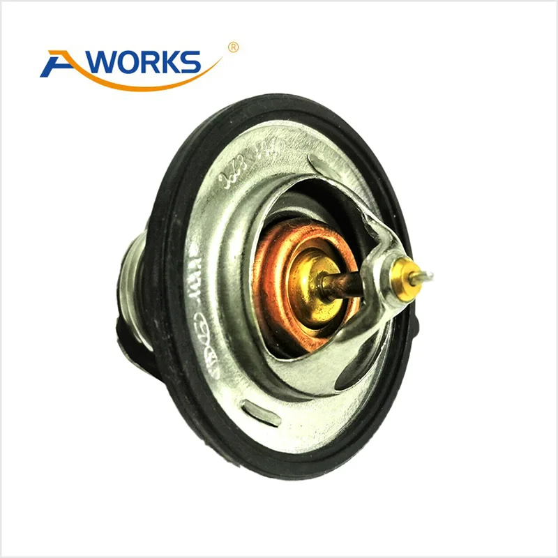 2550038400 Car Thermostat